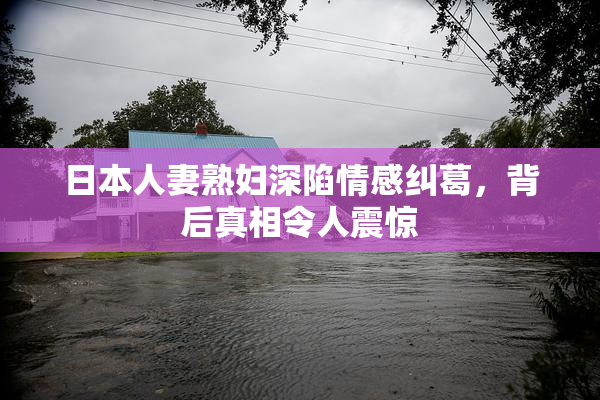 日本人妻熟妇深陷情感纠葛，背后真相令人震惊