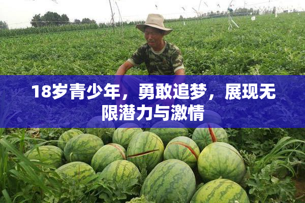 18岁青少年，勇敢追梦，展现无限潜力与激情