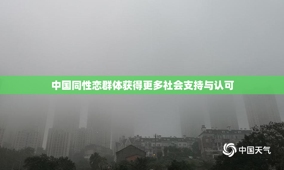 中国同性恋群体获得更多社会支持与认可