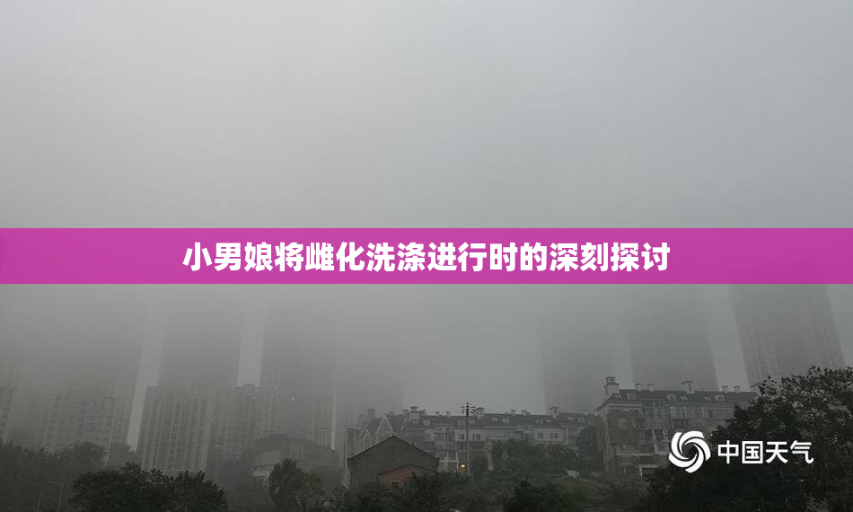 小男娘将雌化洗涤进行时的深刻探讨