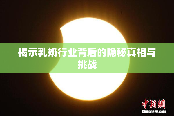 揭示乳奶行业背后的隐秘真相与挑战