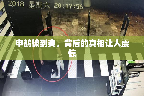 申鹤被到爽，背后的真相让人震惊