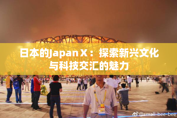 日本的JapanⅩ：探索新兴文化与科技交汇的魅力