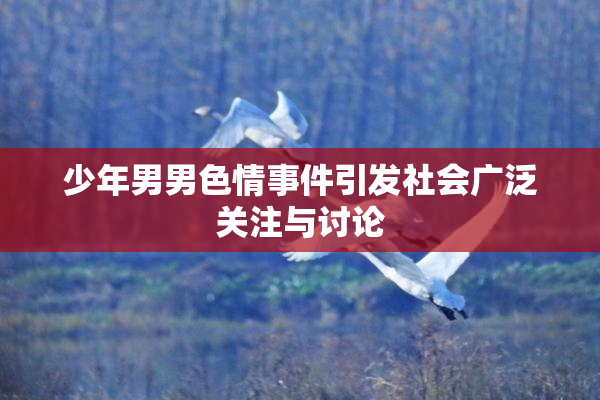 少年男男色情事件引发社会广泛关注与讨论