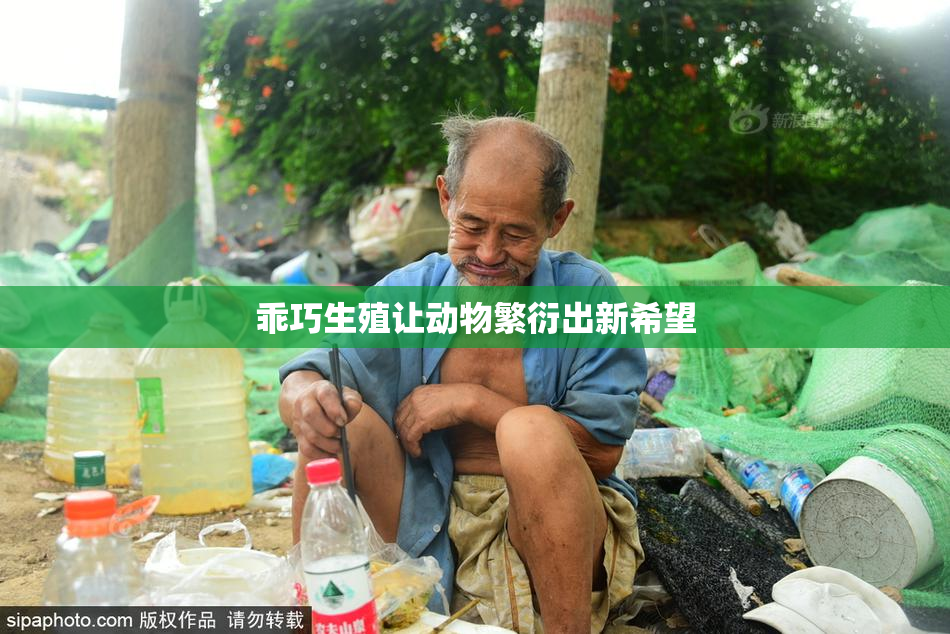 乖巧生殖让动物繁衍出新希望