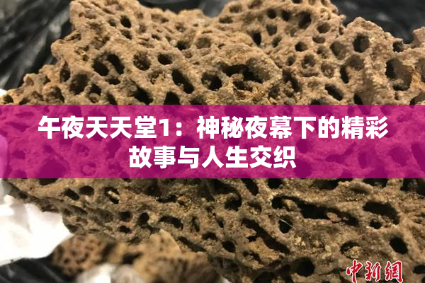 午夜天天堂1：神秘夜幕下的精彩故事与人生交织