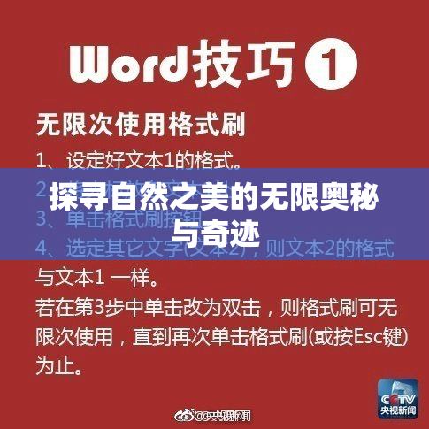 探寻自然之美的无限奥秘与奇迹