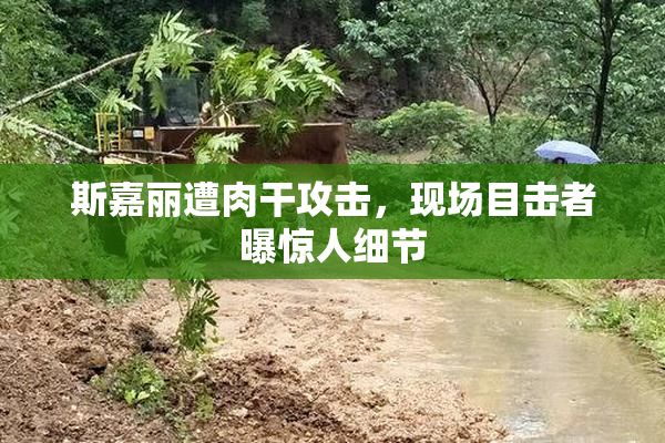 斯嘉丽遭肉干攻击，现场目击者曝惊人细节