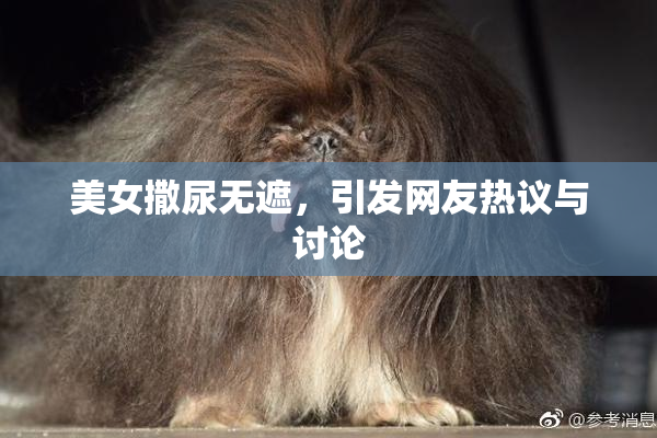 美女撒尿无遮，引发网友热议与讨论