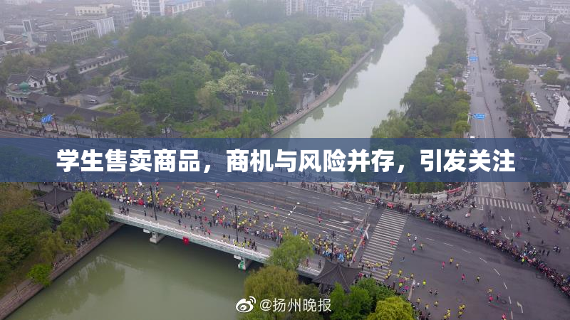 学生售卖商品，商机与风险并存，引发关注