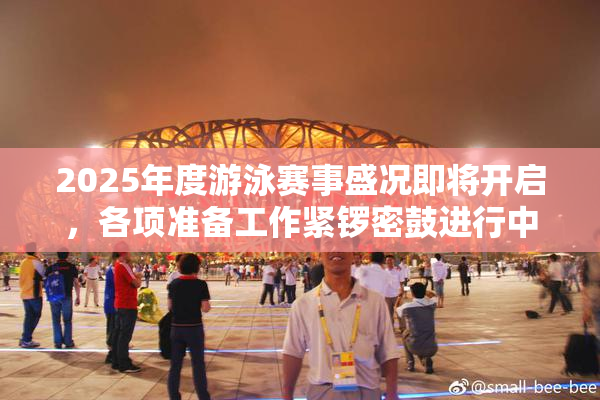 2025年度游泳赛事盛况即将开启，各项准备工作紧锣密鼓进行中