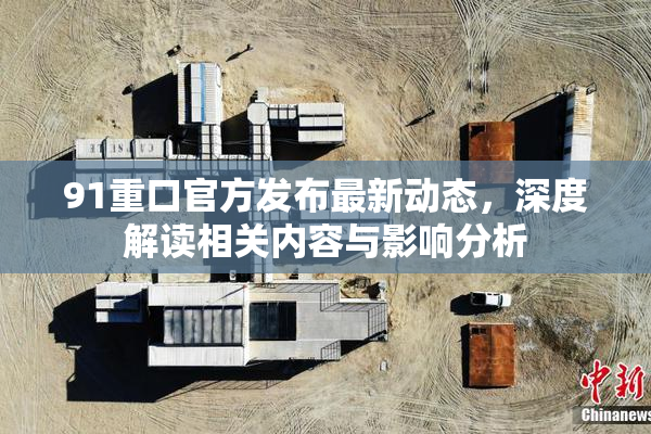 91重口官方发布最新动态，深度解读相关内容与影响分析
