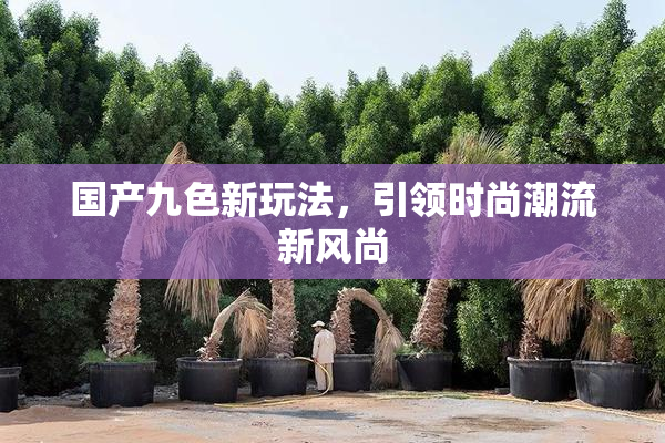 国产九色新玩法，引领时尚潮流新风尚