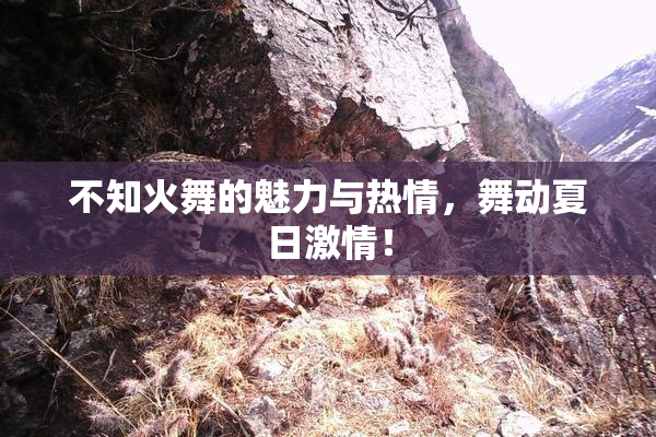 不知火舞的魅力与热情，舞动夏日激情！