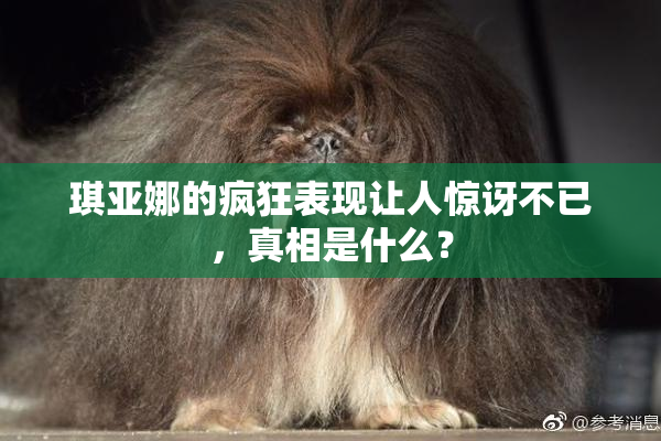琪亚娜的疯狂表现让人惊讶不已，真相是什么？