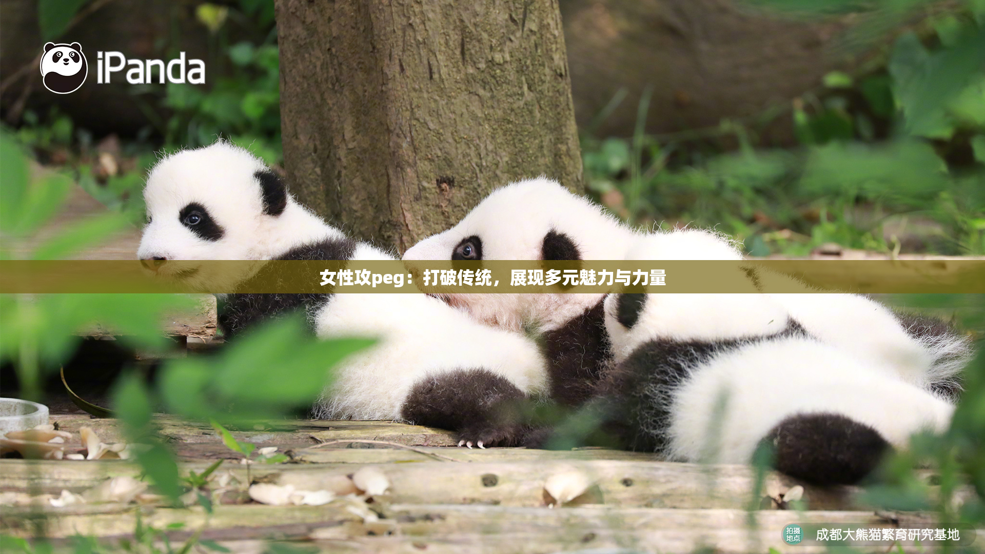 女性攻peg：打破传统，展现多元魅力与力量