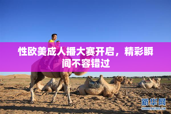 性欧美成人播大赛开启，精彩瞬间不容错过