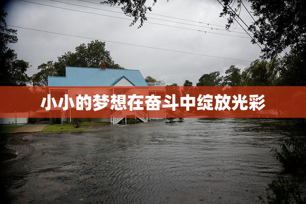 小小的梦想在奋斗中绽放光彩