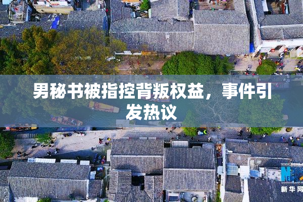 男秘书被指控背叛权益，事件引发热议