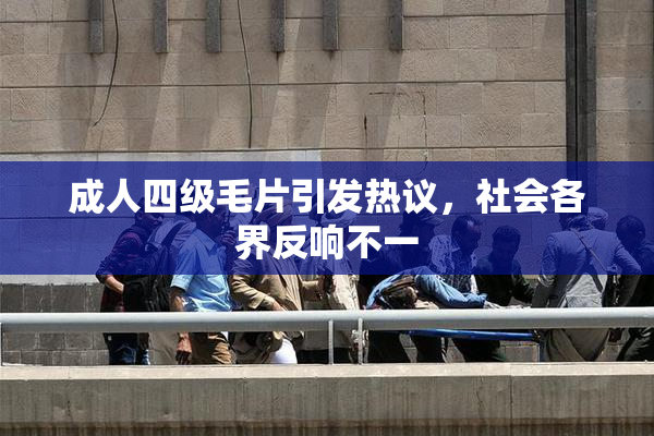 成人四级毛片引发热议，社会各界反响不一