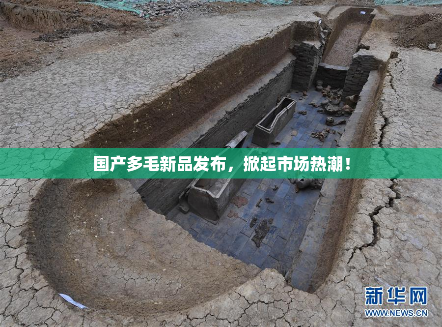 国产多毛新品发布，掀起市场热潮！