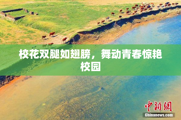 校花双腿如翅膀，舞动青春惊艳校园