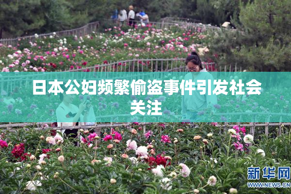 日本公妇频繁偷盗事件引发社会关注