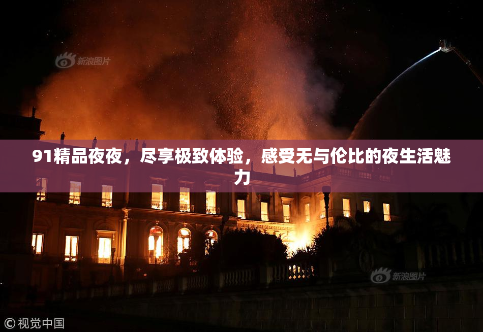 91精品夜夜，尽享极致体验，感受无与伦比的夜生活魅力
