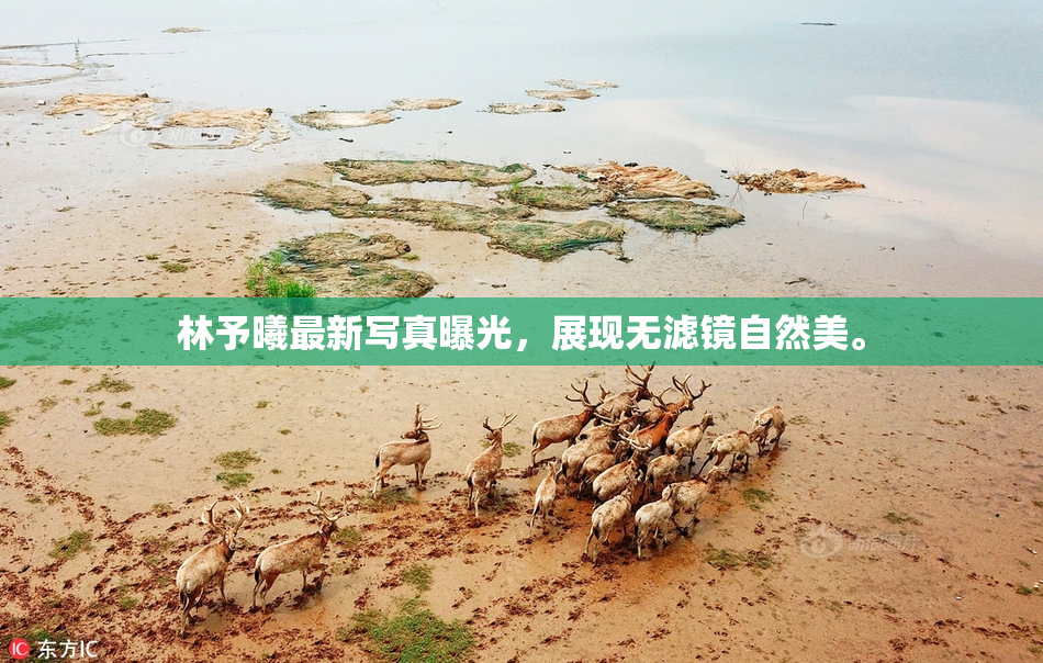 林予曦最新写真曝光，展现无滤镜自然美。