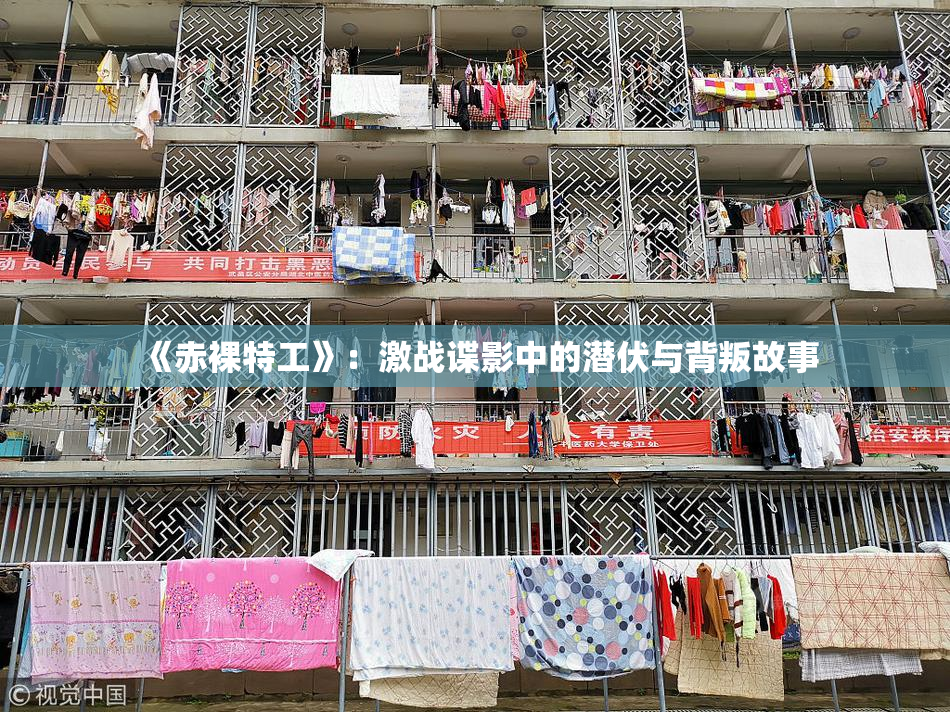 《赤裸特工》：激战谍影中的潜伏与背叛故事
