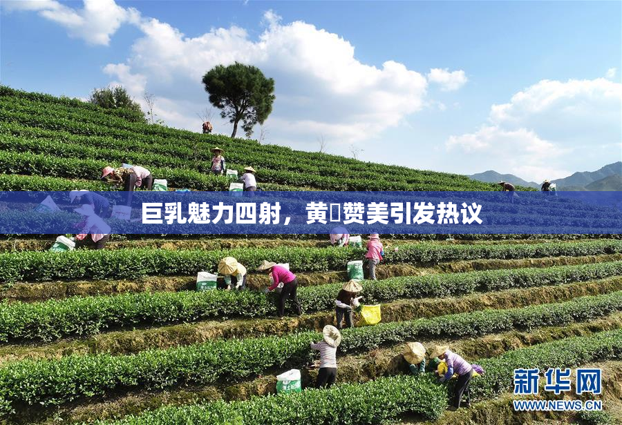 巨乳魅力四射，黄豔赞美引发热议