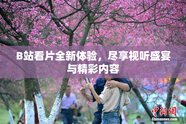 B站看片全新体验，尽享视听盛宴与精彩内容