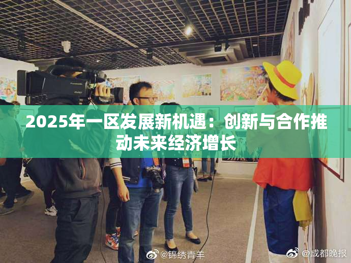 2025年一区发展新机遇：创新与合作推动未来经济增长