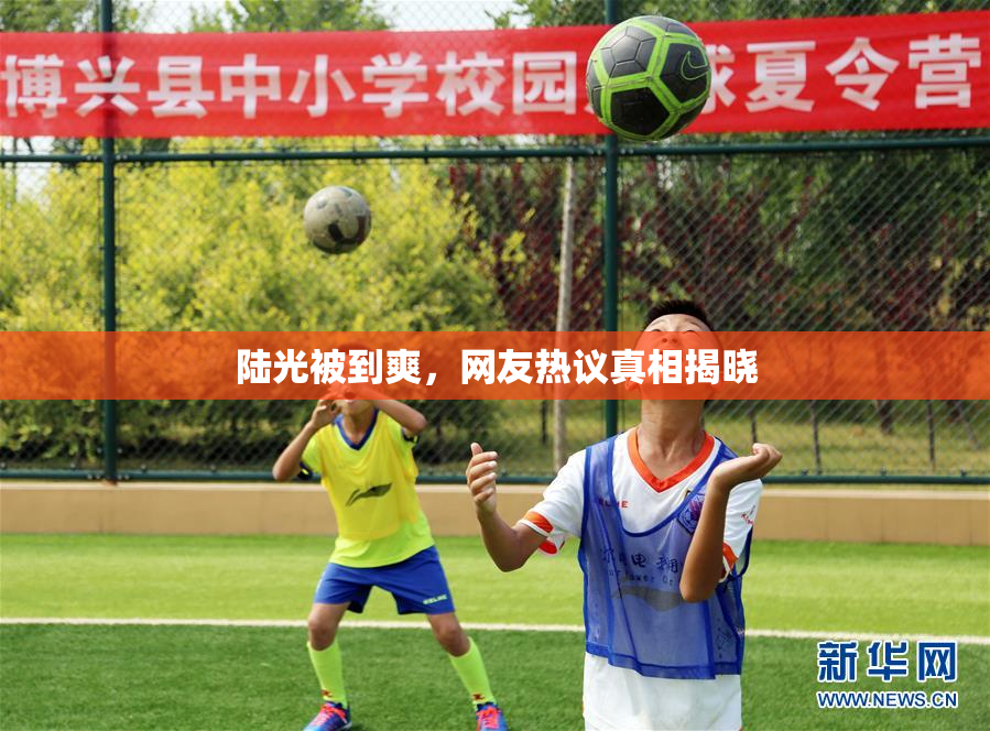 陆光被到爽，网友热议真相揭晓