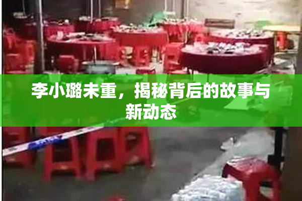 李小璐未重，揭秘背后的故事与新动态