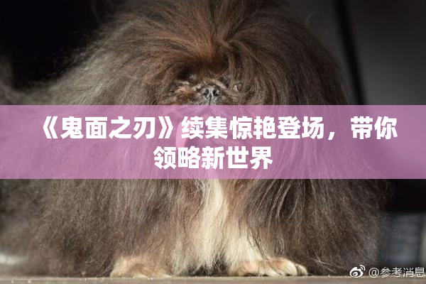 《鬼面之刃》续集惊艳登场，带你领略新世界