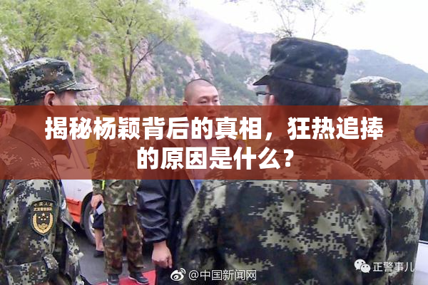 揭秘杨颖背后的真相，狂热追捧的原因是什么？