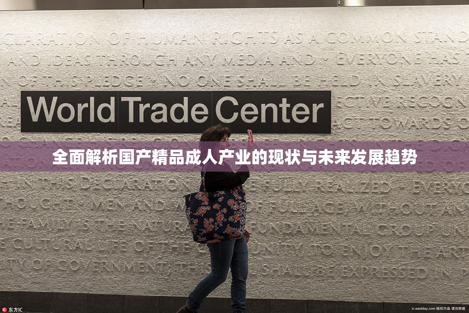 全面解析国产精品成人产业的现状与未来发展趋势