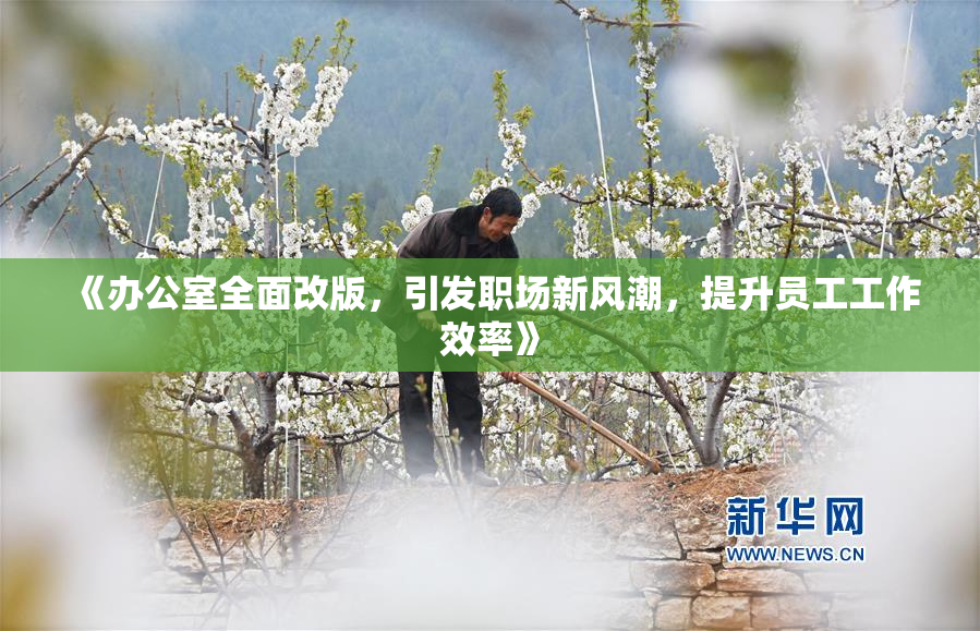 《办公室全面改版，引发职场新风潮，提升员工工作效率》