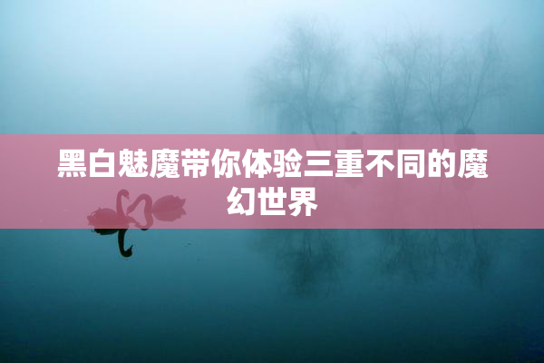 黑白魅魔带你体验三重不同的魔幻世界