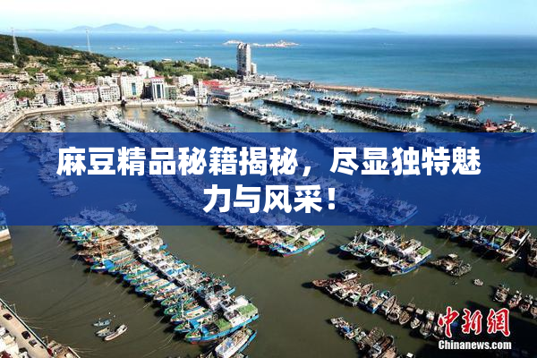 麻豆精品秘籍揭秘，尽显独特魅力与风采！