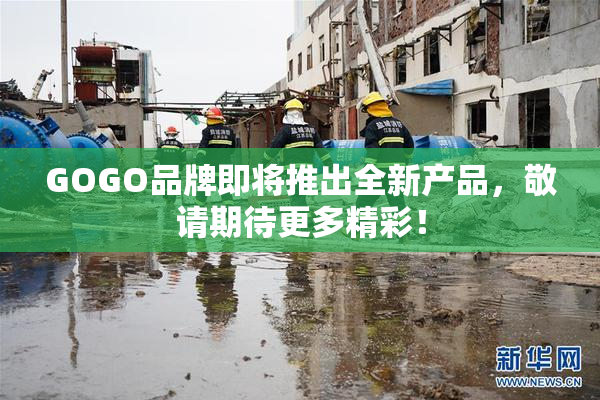 GOGO品牌即将推出全新产品，敬请期待更多精彩！