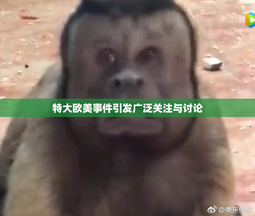特大欧美事件引发广泛关注与讨论