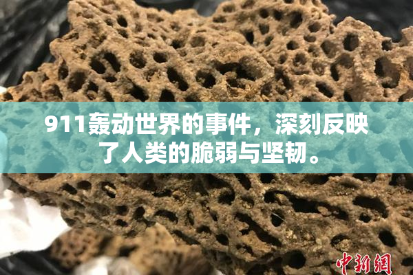 911轰动世界的事件，深刻反映了人类的脆弱与坚韧。