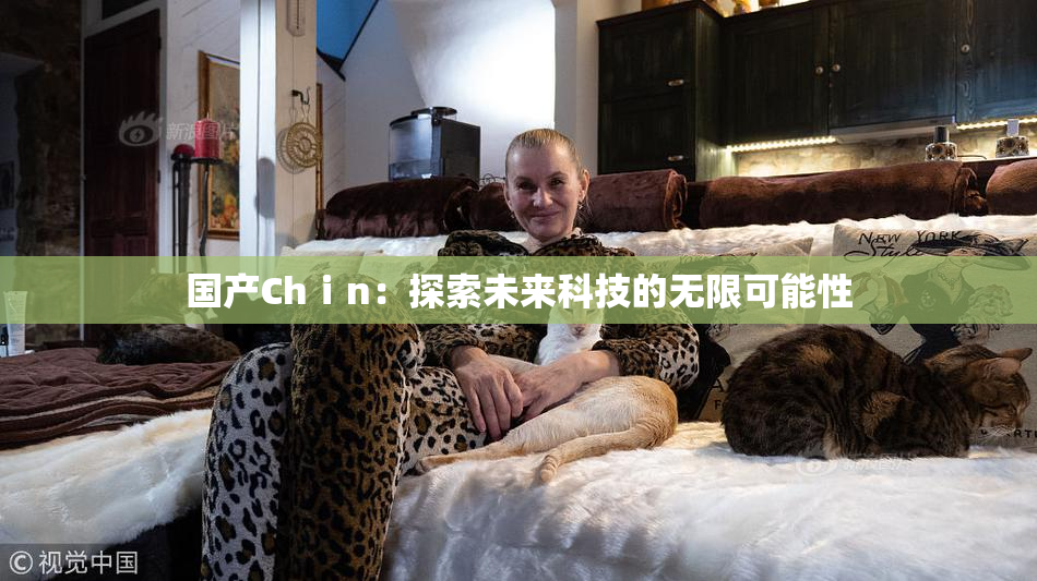 国产Chⅰn：探索未来科技的无限可能性