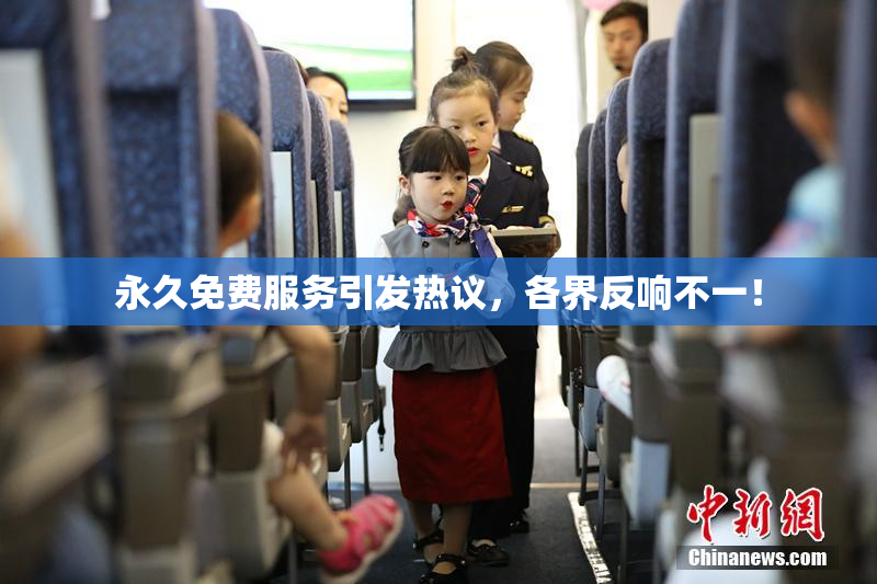 永久免费服务引发热议，各界反响不一！