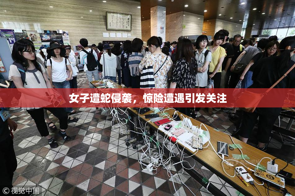 女子遭蛇侵袭，惊险遭遇引发关注