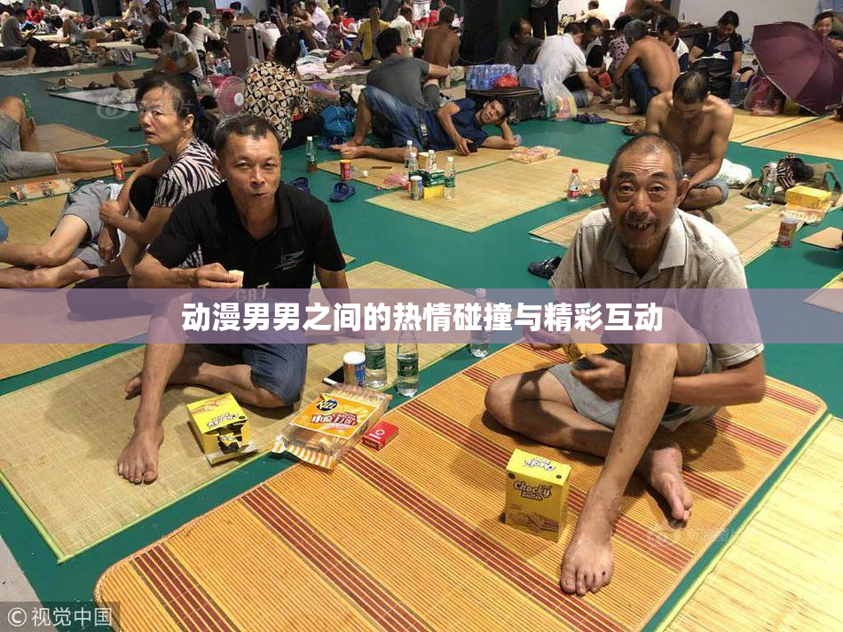 动漫男男之间的热情碰撞与精彩互动