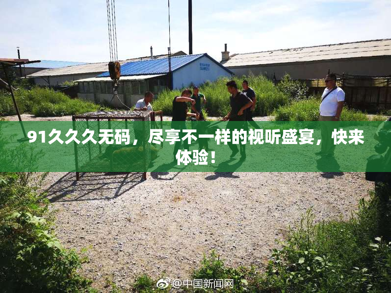 91久久久无码，尽享不一样的视听盛宴，快来体验！