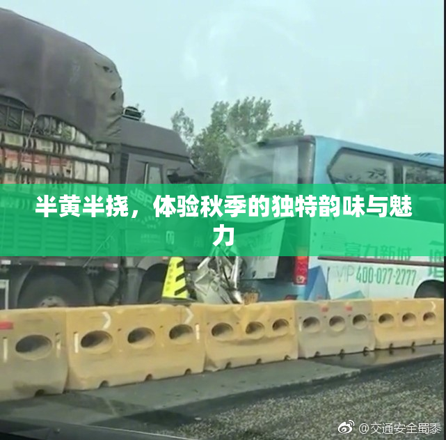 半黄半挠，体验秋季的独特韵味与魅力